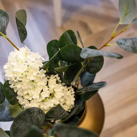 Le 34 * Saint Tropez